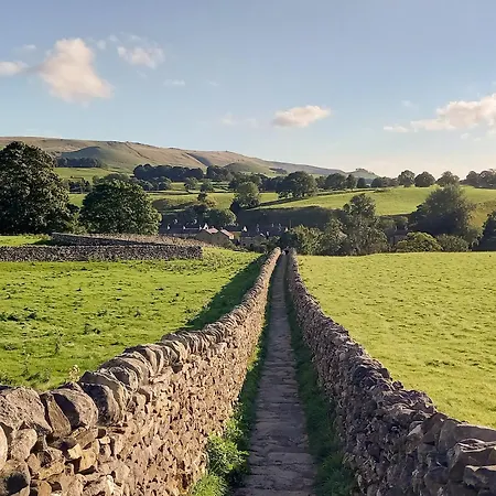 Rose - Uk34067 * 그래싱턴